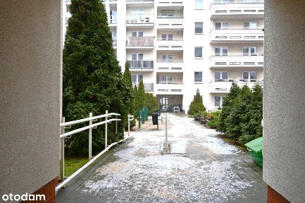 Wilda 35m2 Idealny układ Balkon Winda Niski Czynsz