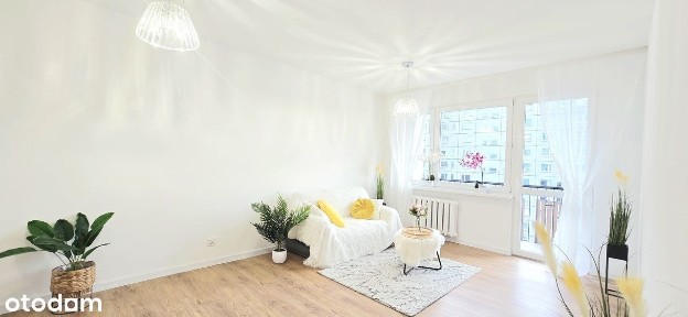 Armii Krajowej, Opole, opolskie