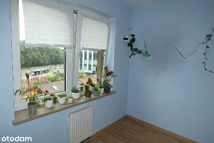 2 pokoje, 36m2 pilnie sprzeda właściciel