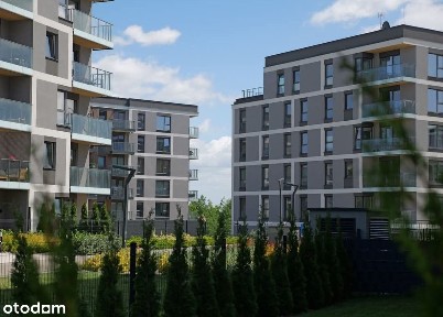 55 m2 Gdańsk Wrzeszcz 3 piętro 3 pokoje - ek. zachodnia - widok na las