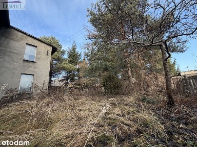 Sosnowiec Niwka dom - mieszkanie z działką