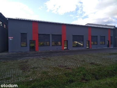 ul. Dębowa, Dobrzewino, Szemud, wejherowski, pomorskie