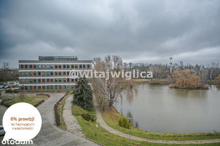 Komfortowe biuro Krzyki/Skarbowców