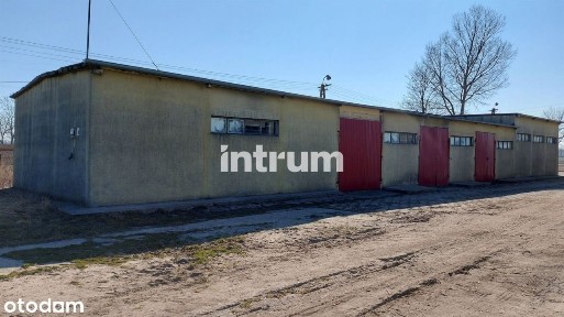 Hala/Magazyn, 256 m², Nowa Wieś Królewska