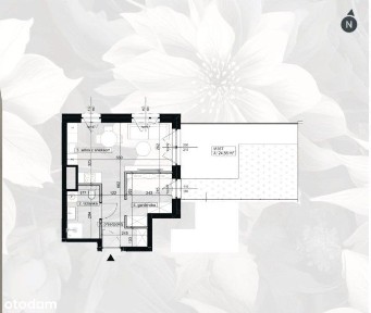 Centrum, Śródmieście, Łódź, łódzkie