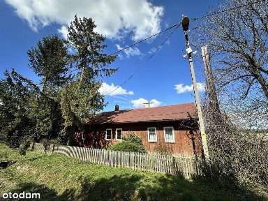 Gospodarstwo, stadnina koni, działalność, k. trasy