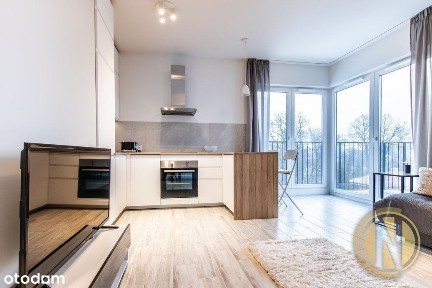 Stare Miasto | Rakowicka | Studio | Eng