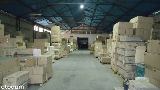 Biała, Zgierz, zgierski, łódzkie