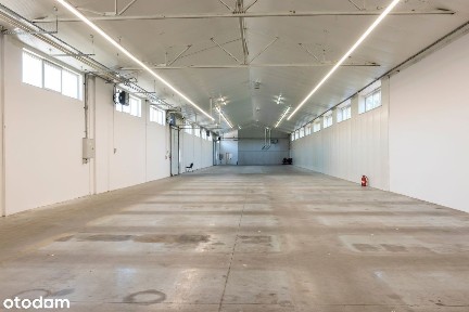 Szczucin, dąbrowski, małopolskie