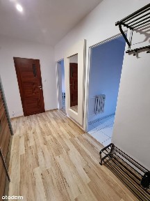 ul. Klonowa, Centrum Południe, Zabrze, śląskie