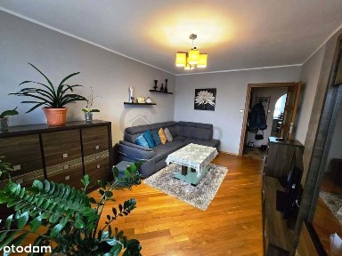 Dzierżoniów, dzierżoniowski, dolnośląskie