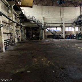 ul. Marii Skłodowskiej-Curie, Rubinkowo, Toruń, kujawsko-pomorskie