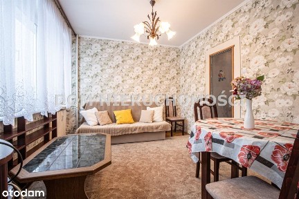 Dworcowa, Kormoran, Olsztyn, warmińsko-mazurskie