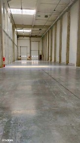 Centrum, Siemianowice Śląskie, śląskie