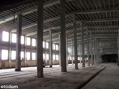 Komorów, Świdnica, świdnicki, dolnośląskie