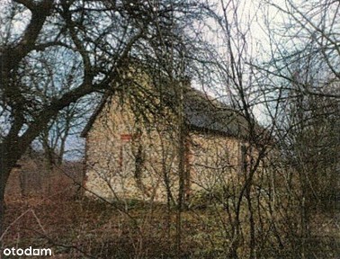 Działka zabudowana 3000m2, Kodrąb