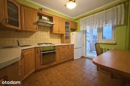 Leszno, wielkopolskie