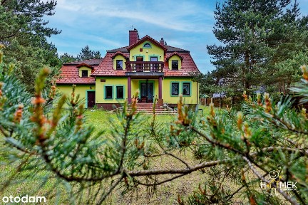 Z Dala od Hałasu, w Sercu Magicznego Lasu - Twój Azyl - Willa Leśna!