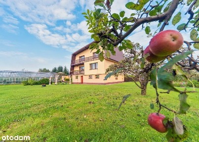 Dom na dużej działce w Jaworzu