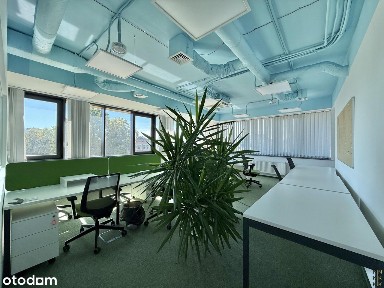 pl. Jana Pawła II, Szczepin, Stare Miasto, Wrocław, dolnośląskie