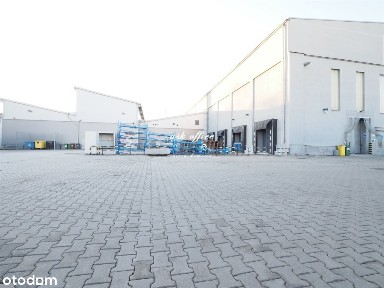 Hala na wynajem, Wrocław