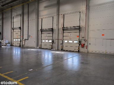 Nowoczesny magazyn na wynajem w Łodzi/ 12 000 m2
