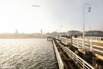 Apartament o funkcji domu