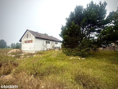 Budynek do adaptacji - Gruszki