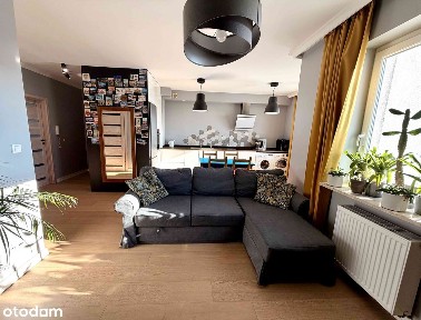 Zamienie, Lesznowola, piaseczyński, mazowieckie