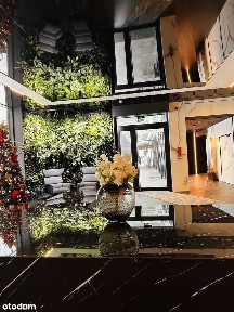 ul. Grzybowska, Mirów, Wola, Warszawa, mazowieckie