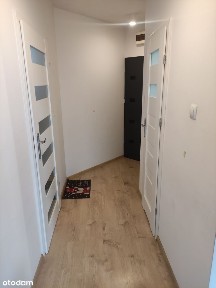 ul. Czerniawska, Gaj, Krzyki, Wrocław, dolnośląskie