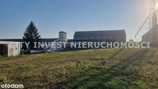 Hala/Magazyn, 20 000 m², Psarskie