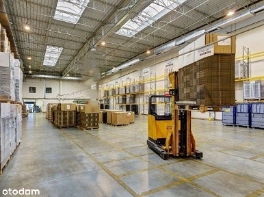 Luboń hala produk-magaz.3800m2+biuro180m2-0 PROWIZJI, 0 KOSZTÓW DODATK