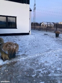 Mieszkanie z ogrodem