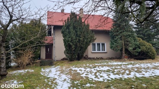 al. Armii Krajowej, Kamienica, Bielsko-Biała, śląskie