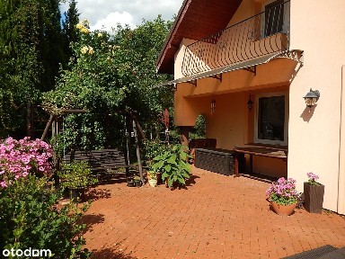 ul. Stanisława Moniuszki, Sulęcin, sulęciński, lubuskie