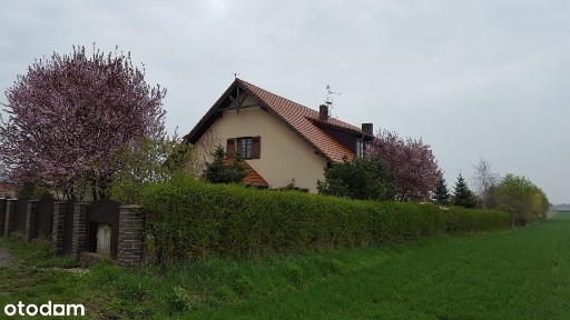 ul. Spacerowa, Mokronos Górny, Kąty Wrocławskie, wrocławski, dolnośląskie