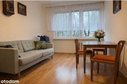 3 pokoje | Włodarczaka | do wprowadzenia