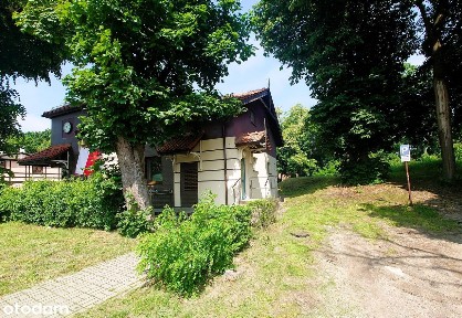 Specjalna | Turystyczna | Krynica Morska