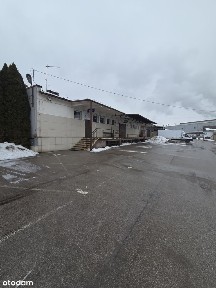 Hala Magazynowo Usługowa 2300 m2 na działce 11 000 m2 w Końskich