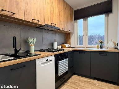 Reptowska, Miechowice, Bytom, śląskie