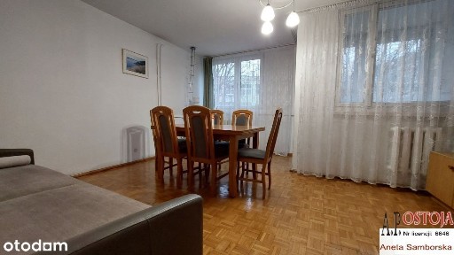 Borek, rozkład, balkon! Zielono! Cicho!