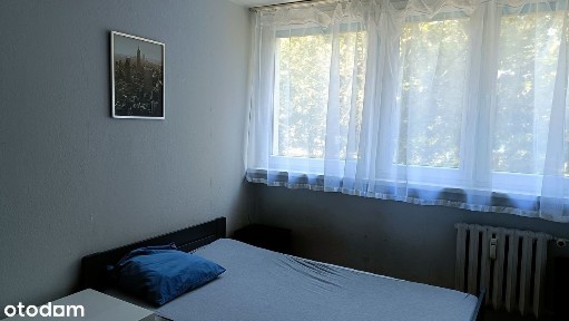 ul. Swobodna, Gajków, Czernica, wrocławski, dolnośląskie