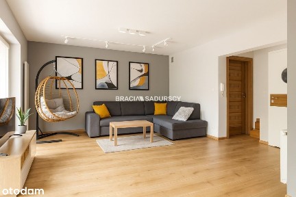 Bliźniak Kraków, Okolice Aleksandrowicza