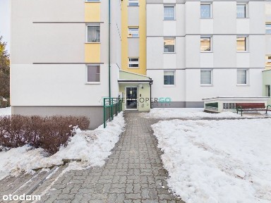 2 pokoje, wysoki parter, blok z cegły 2001r