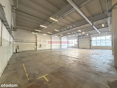 Niepołomice, wielicki, małopolskie