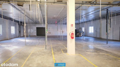 Hala magazynowa produkcyjna plac składowy