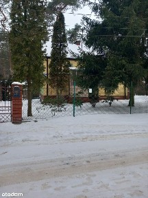 ul. 11 Listopada, Podkowa Leśna, grodziski, mazowieckie