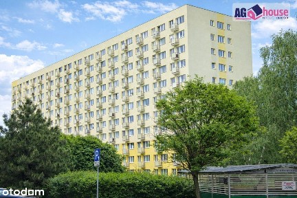 Żabianka - kawalerka blisko morza!