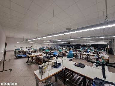 Myślibórz, myśliborski, zachodniopomorskie